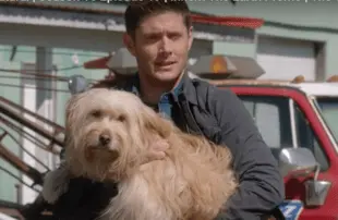 Jensen Ackles on Supernatural (The CW)