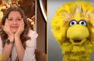 Big Bird on The Drew Barrymore Show