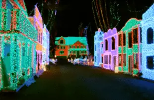 The Great Christmas Light Fight (ABC)