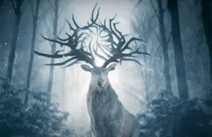 Shadow and Bone (Netflix)