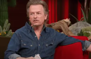 David Spade on Netflix Afterparty: The Best Shows of the Worst Year (Netflix)