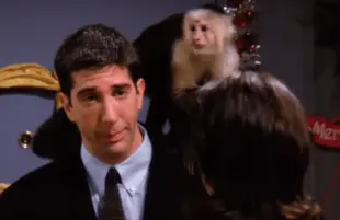 David Schwimmer on Friends (NBC)