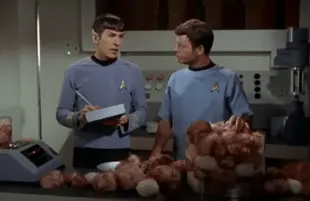 Leonard Nimoy and DeForest Kelley in Star Trek: The Original Series