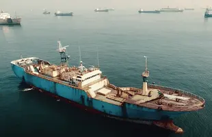 Seaspiracy (Netflix)