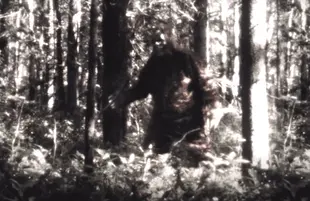 Sasquatch (Hulu)