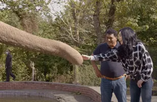 Cher & The Loneliest Elephant (Paramount+)