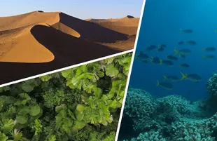 Images from the five-episode Disney+ series Earth Moods. 