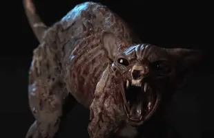 Haunted (Netflix)