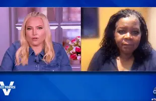 Meghan McCain and Pulitzer Prize winner Annette Gordon-Reed on The View. (Photo: ABC)