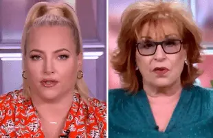 Meghan McCain and Joy Behar are enjoying their final few weeks of feuding on The View. (Photos: ABC)