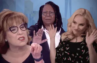 Joy Behar, Whoopi Goldberg and Meghan McCain had it out this season on The View. (Photos: ABC)