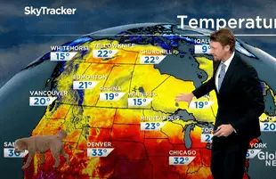 A dog crashes a Toronto meteorologist's weather report (Photo: Global News)
