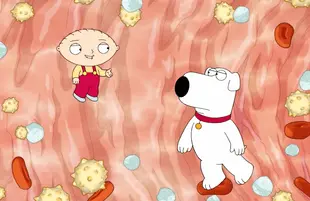Stewie and Brian in a Family Guy COVID PSA (Photo: ABC)