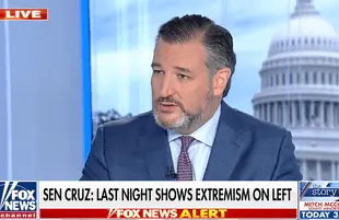 Ted Cruz on Fox News' America Reports (Photo: Fox News)