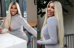 NeNe Leakes puts her family first amidst Traitors season 4 offer.