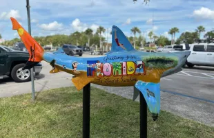 A fiberglass shark painted by artist, Meghan Bosma, installed at the New Smyrna Beach Municipal Airport (Image via Facebook/City of New Smyrna Beach)