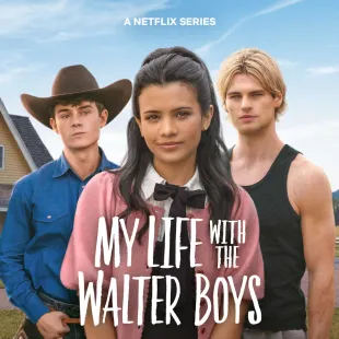 My Life with the Walter Boys 
