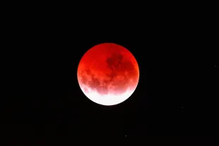 AUCKLAND, NEW ZEALAND - APRIL 04:  A blood red moon lights up the sky during a total lunar eclipse on April 4, 2015 in Auckland, New Zealand. The shortest total lunar eclipse, or "blood moon", of the century will last just a few minutes.  (Photo by Phil Walter/Getty Images)