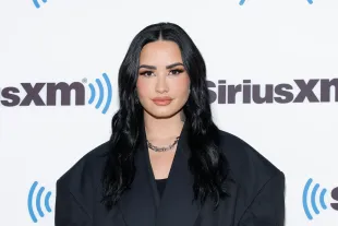 Demi Lovato Describes Reunion With Jonas Brothers as a Healing Experience (Image via Getty)