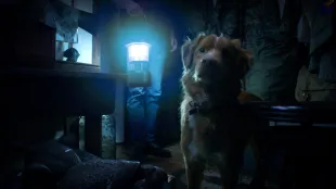 Good Boy © IFC Films