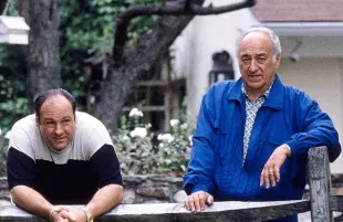Jerry Adler in a scene from The Sopranos (Image via Instagram/@mafiachronicles)