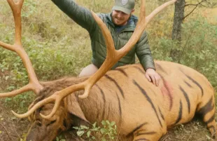 The viral Phantom striped elk (Photo: Facebook/@Casper Planet)