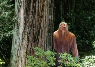 Dr. Jeffrey Meldrum was involved in the research of Bigfoot for many years (Image via Getty)