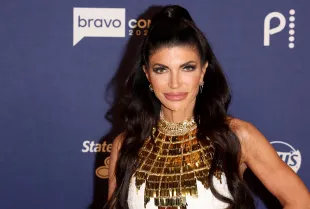 Teresa Giudice of The Real Housewives of New Jersey (Image via Getty)