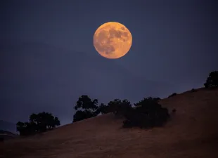 SANTA YNEZ, CA - SEPTEMBER 29:  A super harvest moon, the last of 2023, is viewed along Armour Ranch Road on September 29, 2023, near Santa Ynez, California. Following the notoriety from the Academy Award-winning film Sideways, this buccolic farming region north of Santa Barbara has become a popular Wine Country stop for global and domestic tourists traveling between San Francisco and Los Angeles. (Photo by George Rose/Getty Images)