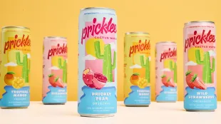 Co-founders Kun Yang and Mo Hassoun pitched their brand Pricklee Cactus Water on Shark Tank 13 (Image via Pricklee e-commerce website)