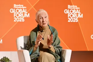 Jane Goodall was the mother of a son born from her first marriage (Image via Getty)