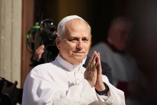 Pope Leo XIV greets the crowd as he leaves after presiding over a mass at San Pancrazio cathedral. (Photo by Ernesto Ruscio/Getty Images)