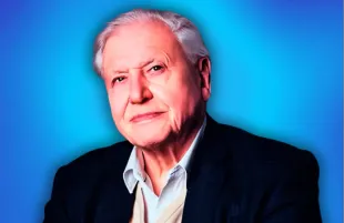 99-year-old David Attenborough received a Daytime Emmy Award on October 17, 2025