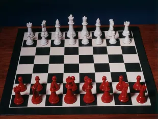 Daniel Naroditsky won various accolades in the world of chess over the years (Image via Getty)