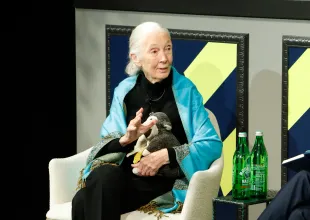 Jane Goodall continued working before the day of her death (Image via Getty)