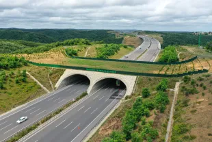 ISTANBUL, TURKEY - JULY 09: A drone photo shows an "ecological overpass" located at Northern Marmara Highway in Istanbul, Turkey on July 09, 2020. "Ecological bridges", have been built on highways by the Turkish Ministry of Transport and Infrastructure to protect both wild animals and prevent traffic accidents caused by wildlife. (Photo by Muhammed Enes Yildirim/Anadolu Agency via Getty Images)