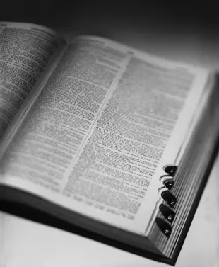 Open dictionary against white background, close-up