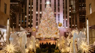 Rockefeller Christmas tree (Image via rockefellercenter.com)