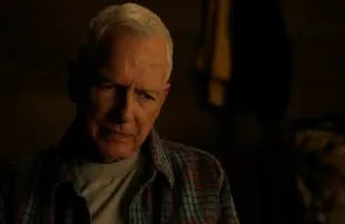 Gibbs (Image via Instagram / ncisverse)