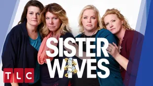 Meri, Janelle, Robyn and Christine from Sister Wives (Image via TLC)