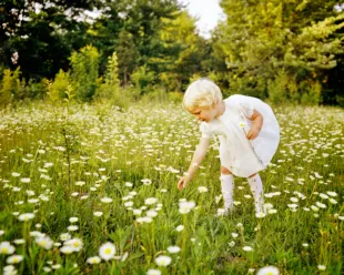 1970s Blonde toddler girl white dress socks standing in field picking white daisies summer (Image via Getty)