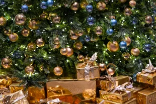 Gift packages with shiny gold paper lie under a Christmas tree. Photo: Jens Kalaene/dpa (Photo by Jens Kalaene/picture alliance via Getty Images)