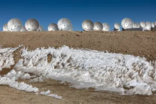 Massive antennas, part of the Atacama Large Millimeter/submillimeter Array (ALMA) radio telescope (Image via Getty)