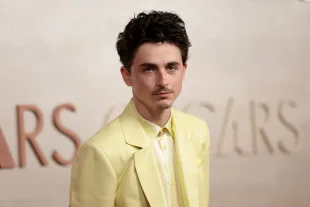 Timothée Chalamet (Imahe via Getty)