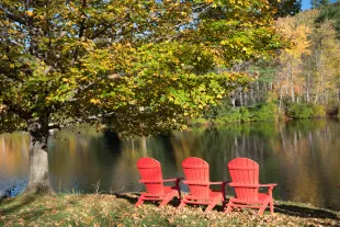 Eric Langford allegedly went missing in the Adirondack forests in 1989 and was found in 2001 (representative image).  (Photo by Tim Graham/Getty Images)