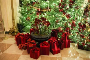 What happens day after Christmas? Traditions, festivities and more explored as Trump announces federal holiday for 26th December (Photo by Anna Moneymaker/Getty Images)