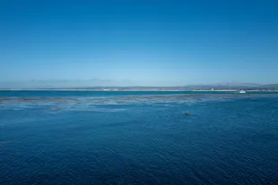 A swimmer went missing off Lovers Point in Monterey County, California [Representational Image] (Photo by Smith Collection/Gado/Getty Images)