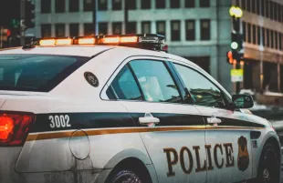 What ethnicity is Miranda Cosgrove? Nickelodeon star's selfie sparks