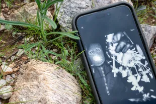 Daniel Naroditsky’s cause of death revealed weeks after his death at 29