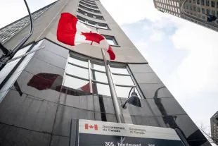 What happened to Tineke 'Tini' Younger's twin baby daughter? TikToker